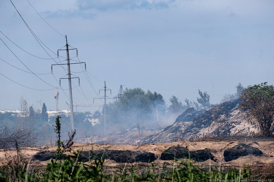 «Пламя из недр»: что происходит на горящих короотвалах в Калининграде (фото)