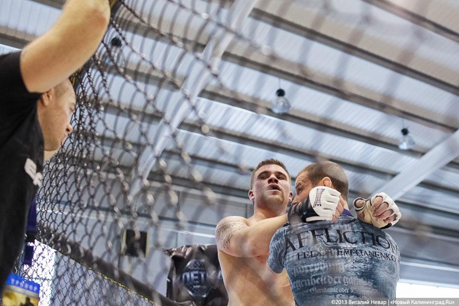 «Бои местного значения»: фоторепортаж с чемпионата по смешанным единоборствам
