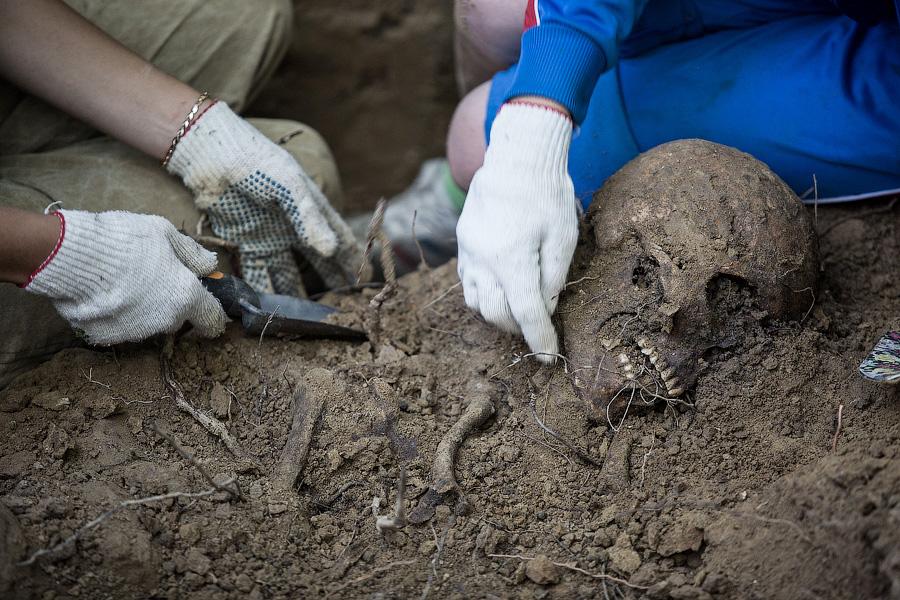 22 июля 2014: эксгумация останков советских солдат в пос. Жуковка Багратионовского района