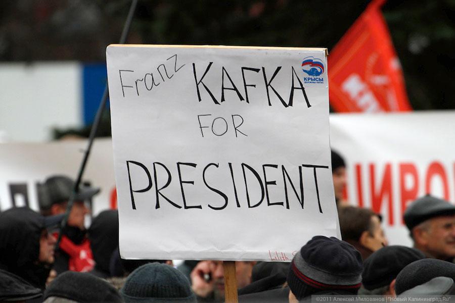 "Процесс протеста": фоторепортаж "Нового Калининграда.Ru"