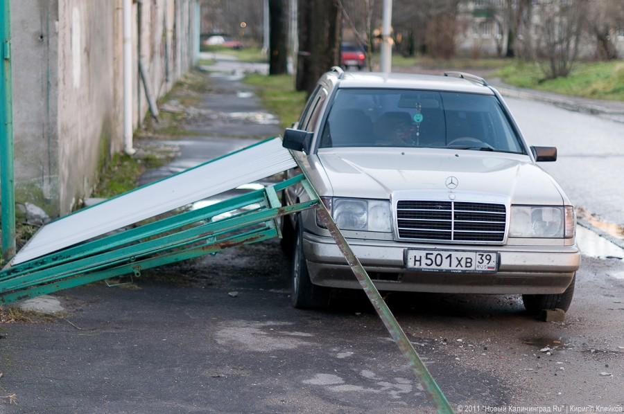 «А поутру они проснулись»: фоторепортаж «Нового Калининграда.Ru»