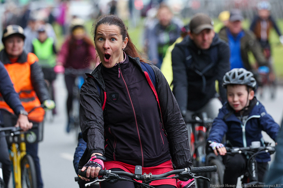 Лыжи, велики, унициклы: как прошёл велопарад в Калининграде (фото)