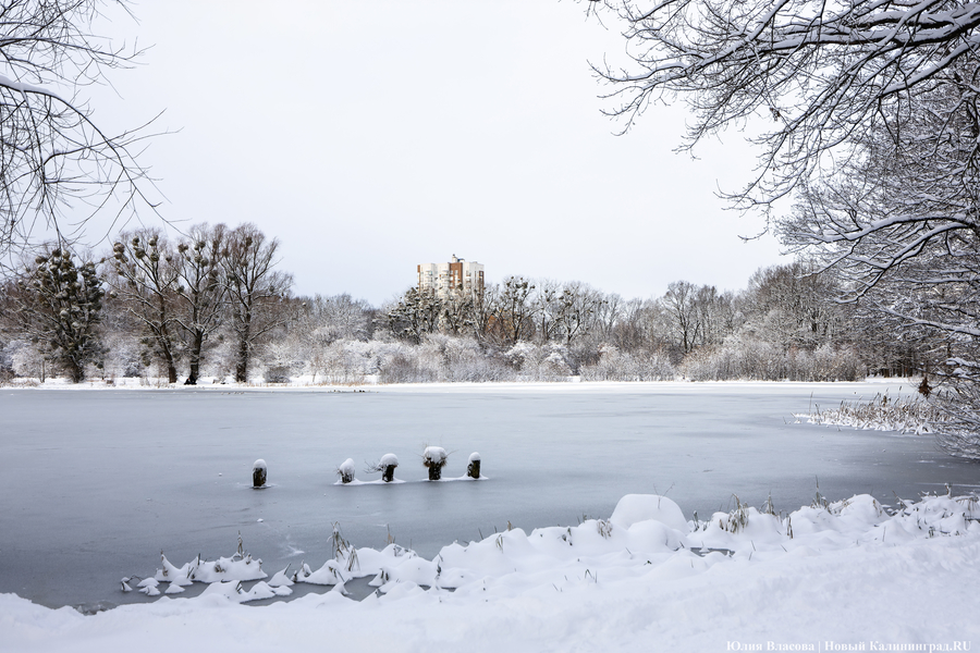 Мороз без солнца: погода в Калининградской области 9 января