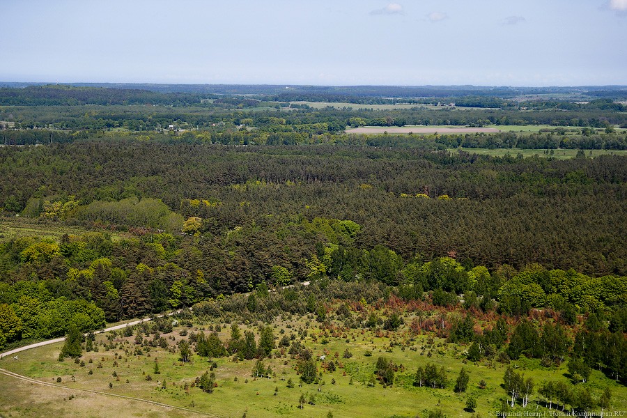 Фото — Виталий Невар, «Новый Калининград»