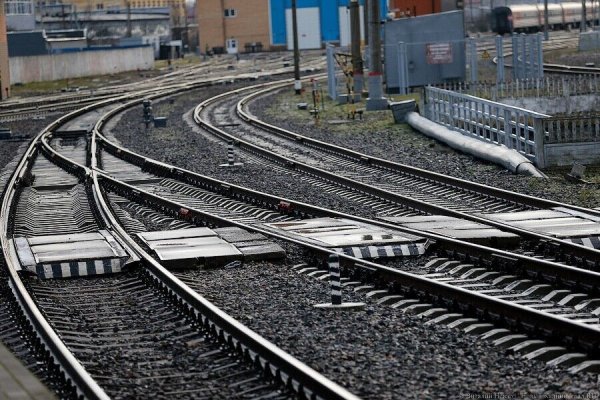 Власти оценили строительство железной дороги до Янтарного в 19,6 млрд рублей