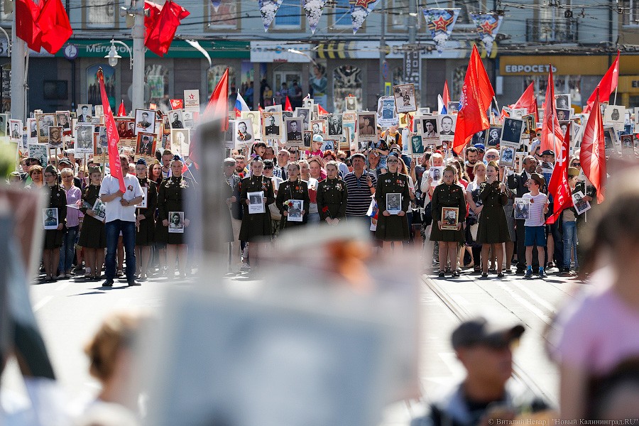 Ради мира на земле: шествие «Бессмертного полка» в Калининграде (фото)
