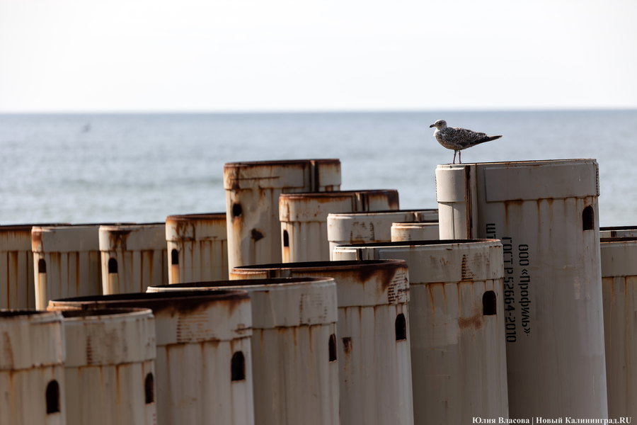 С видом на море и стройку: как выглядит пляж в Светлогорске этим летом