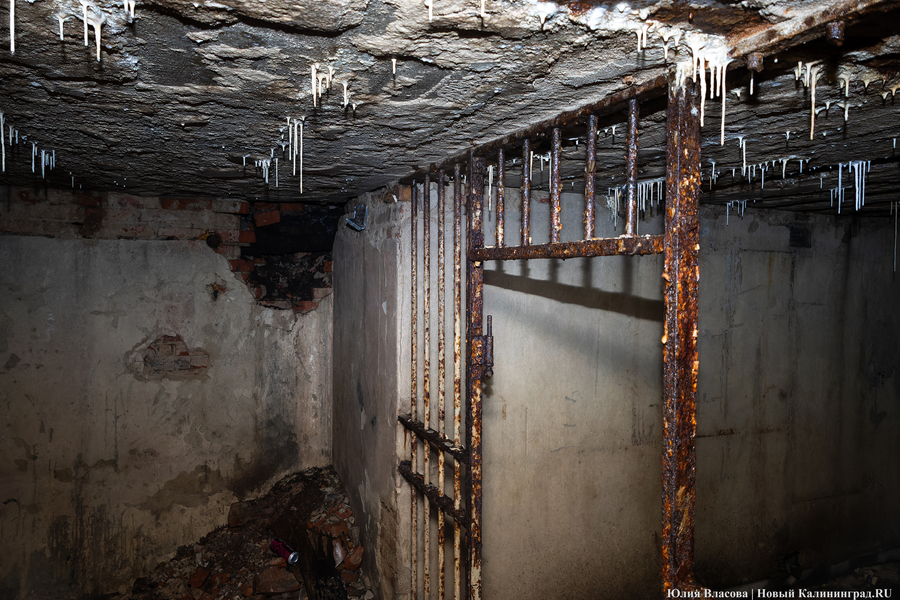 Настоящие подземелья Кёнигсберга: что находится в открывшемся провале на острове Канта (фото)