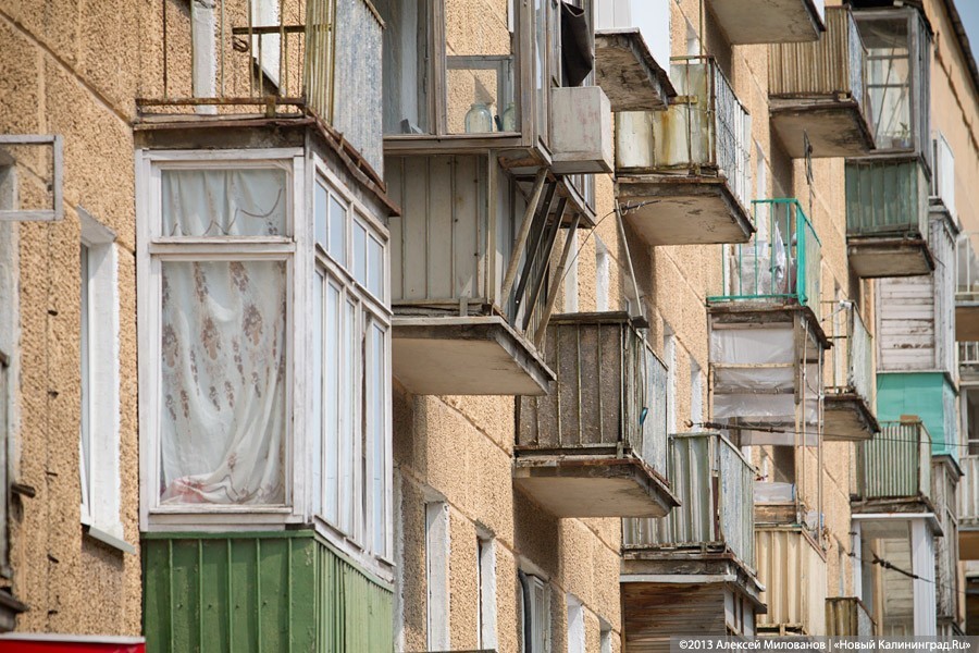 Калининградцы вызвали МЧС снимать с козырька кошку. Она испугалась и спрыгнула сама