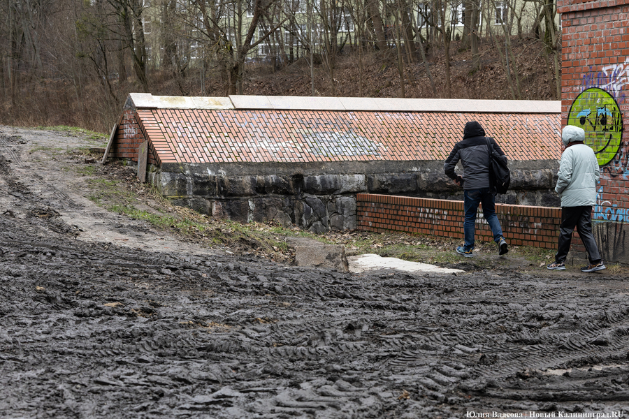 Непролазная грязь: как выглядит берег Литовского ручья в ожидании реновации (фото)