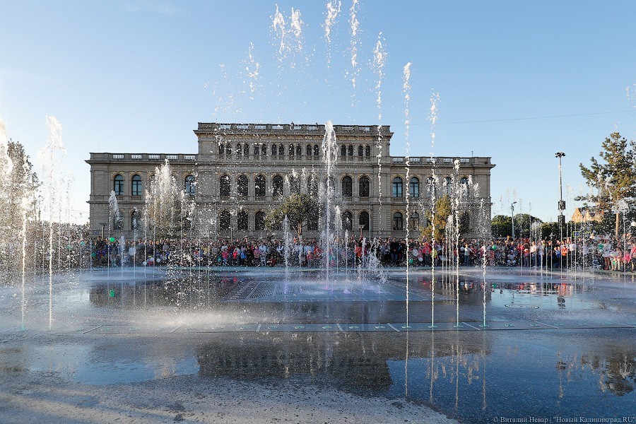 Калининградцы выбирали название скверу у ДКМ, хотя у него уже есть название