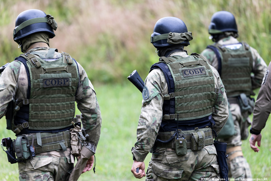 Таможенный спецназ: как проходит чемпионат по служебному двоеборью в Калининградской области (фото)