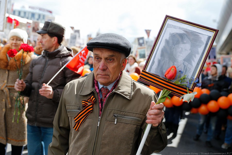 Вечная память: шествие «Бессмертного полка» в Калининграде