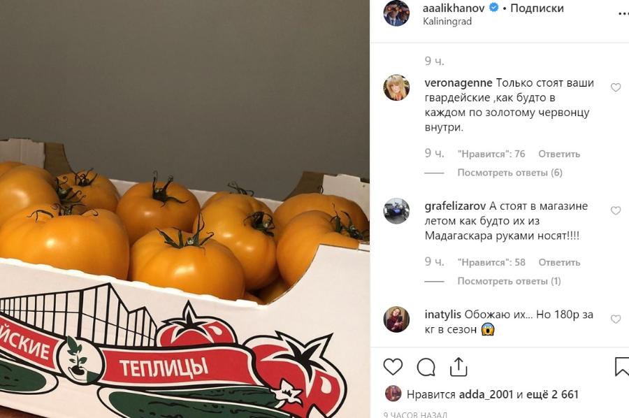 Алиханов показал в Instagram местные помидоры, читатели пожаловались на их цену