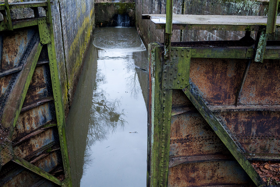 «Чебурашка в будке»: как устроен дом смотрителя шлюза Мазурского канала (фото)