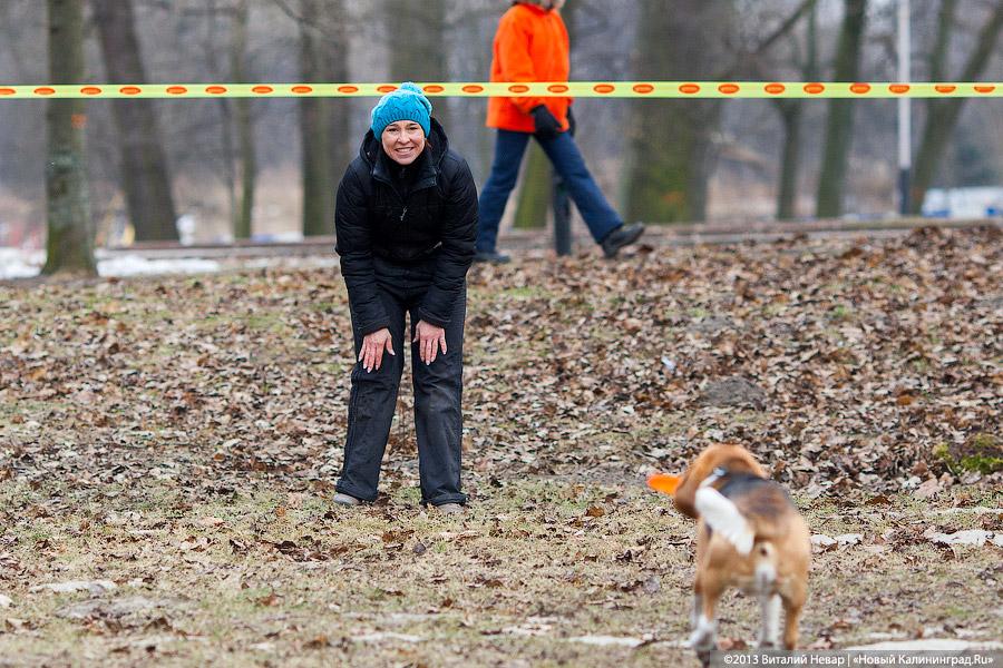 «Зубастые ловцы»: фоторепортаж с соревнований по дог-фрисби