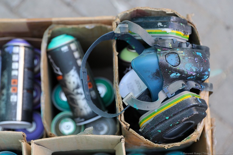 Фото — Виталий Невар, «Новый Калининград»