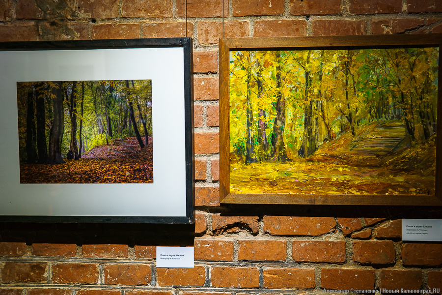 «О чем молчат деревья»: в Воротах открылась выставка, воспевающая придорожные аллеи (фото)