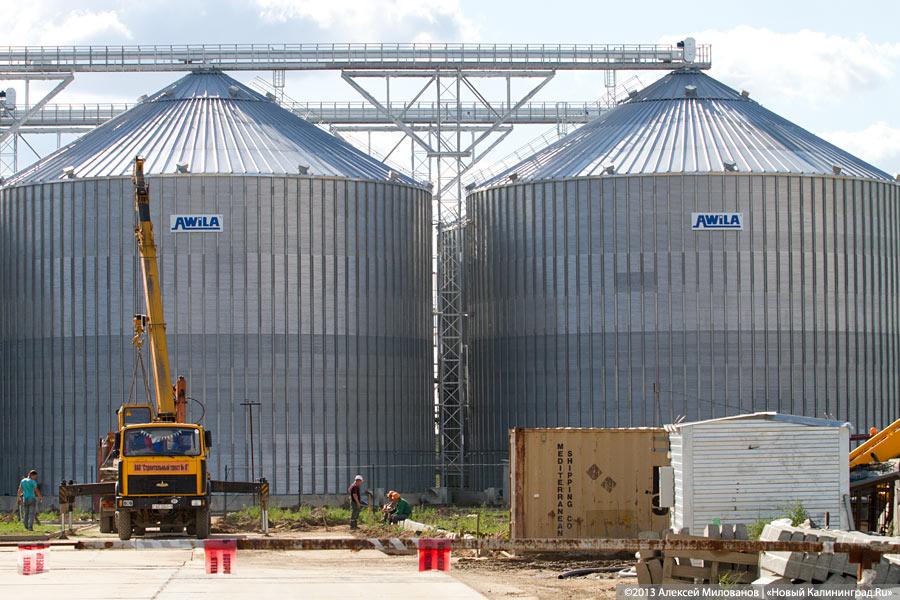 «Я все пью, а мне все хуже»: как Краснознаменск встретил Николая Цуканова