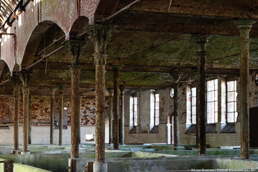 След Розенау: как выглядит заброшенный мясокомбинат на Аллее Смелых (фото)