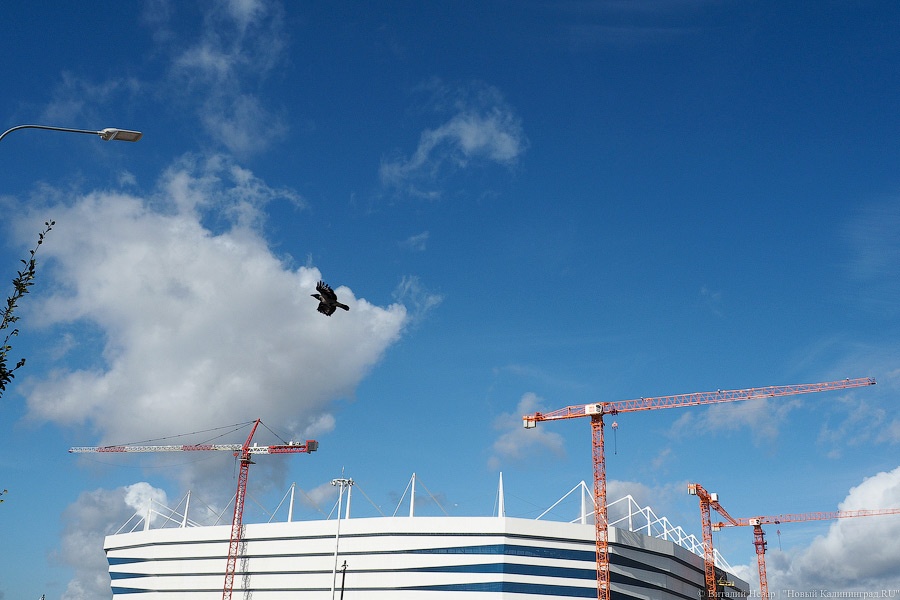 При полном Параде: как сегодня выглядит новая набережная на Острове