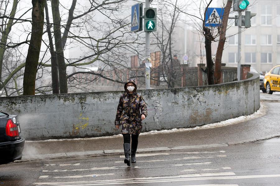 УФАС: цены на медицинские маски в Калининграде не выросли, дефицита нет