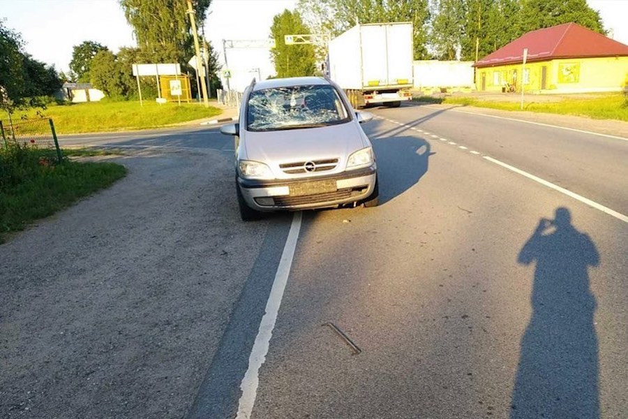 Под Нестеровом «Опель» сбил велосипедиста (фото)