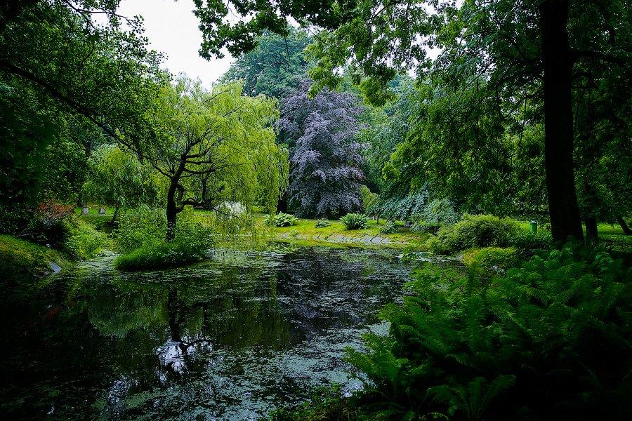 На ремонт ограждения дендропарка на ул.Ботанической направляют 66,8 млн