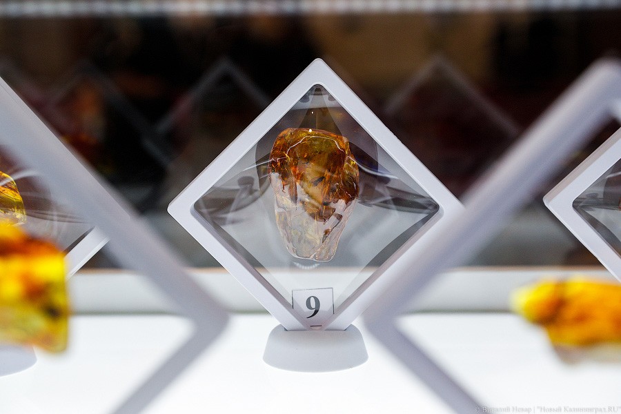 Янтарная козявка: чем закончились первые в Калининграде торги по инклюзам (фото)