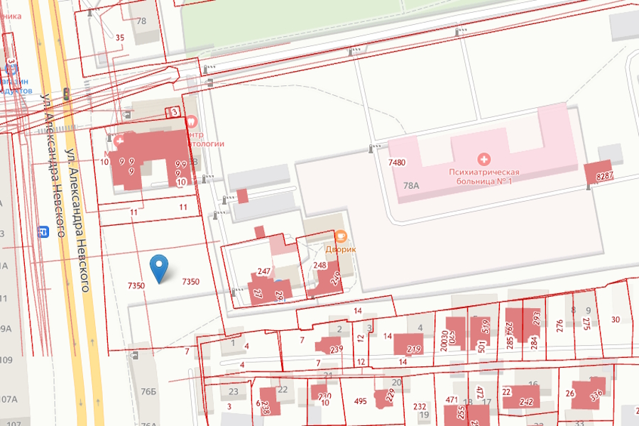 На ул. Невского в Калининграде разрешили провести санитарную рубку деревьев