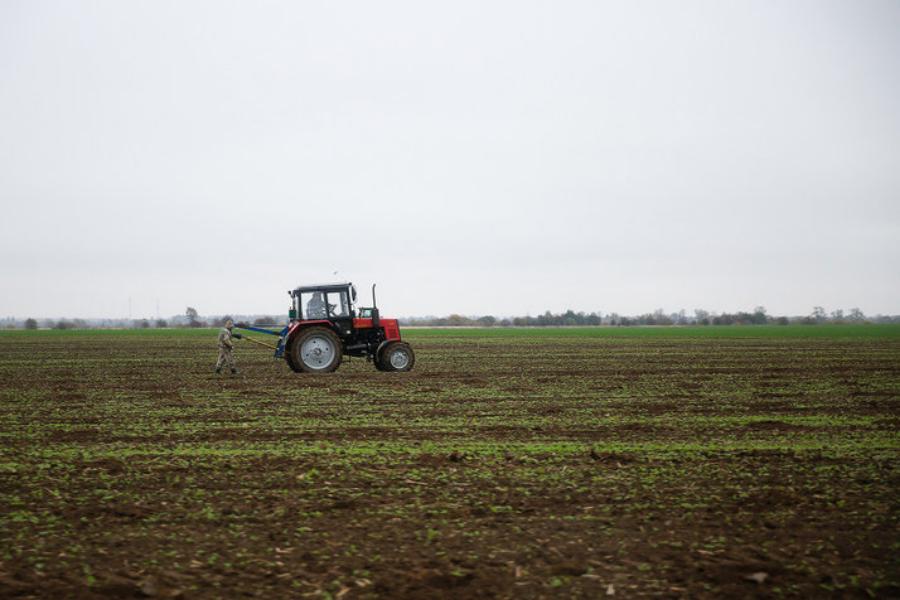 В Польше предрекли России доминирующую позицию на внешнем рынке сельхозпродукции