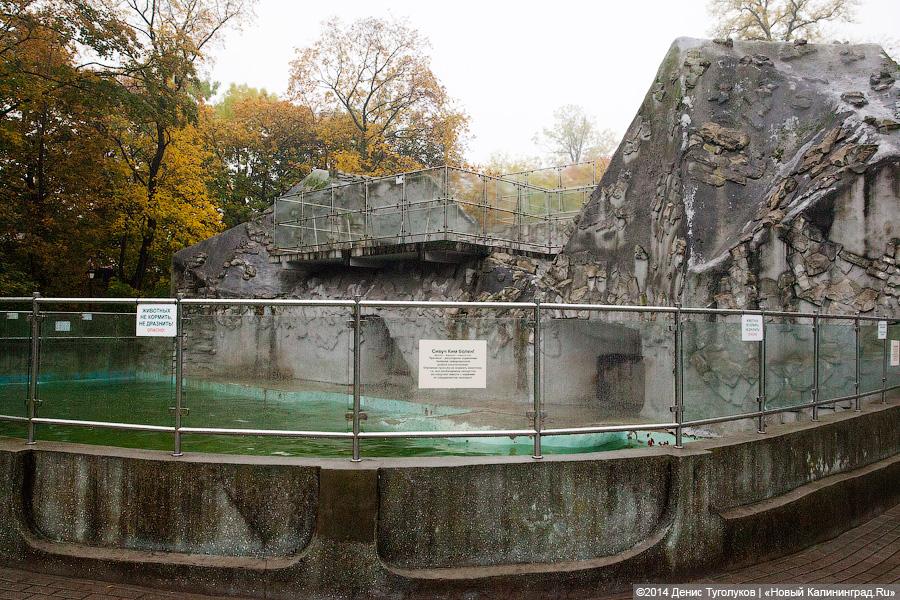 Звериные тропы: прогулка по зоопарку