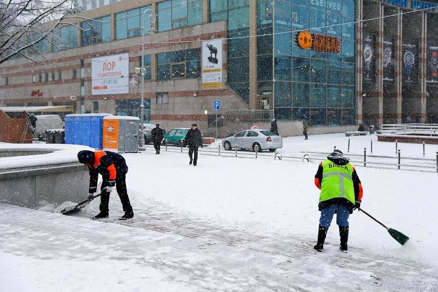 Калининградская «Чистота»: не хватает дворников и механизаторов
