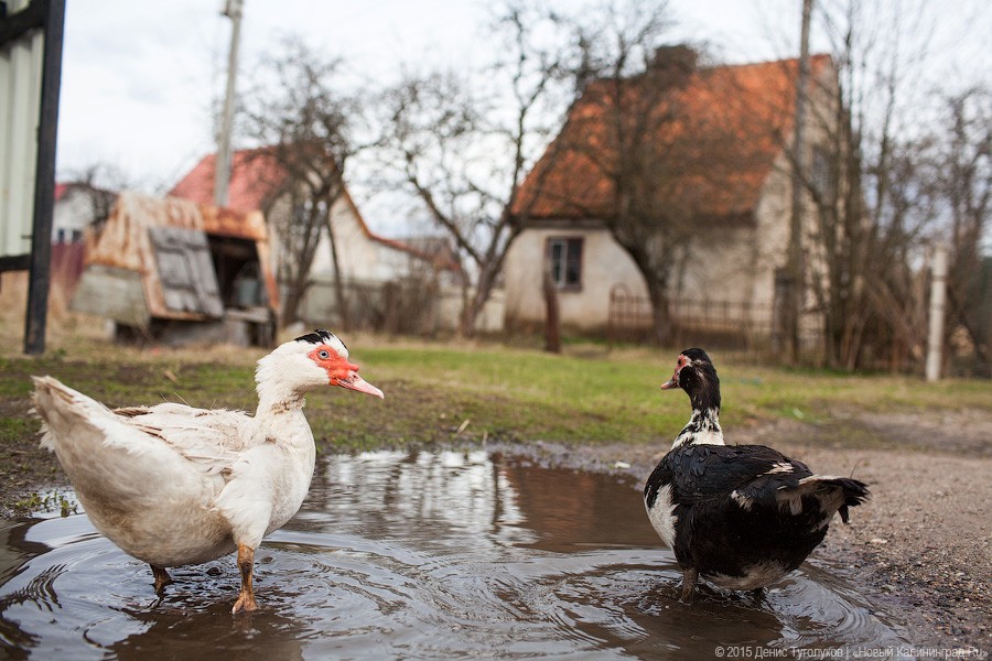 В России начали действовать налоговые льготы для дачников