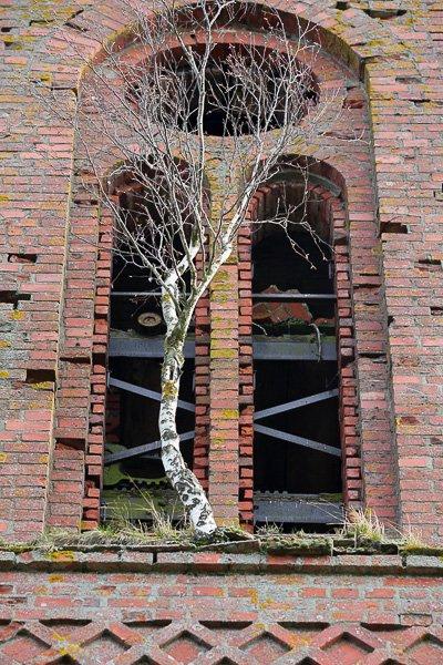 В списках не значится: в полузабытом поселке обрушается «несуществующая» кирха