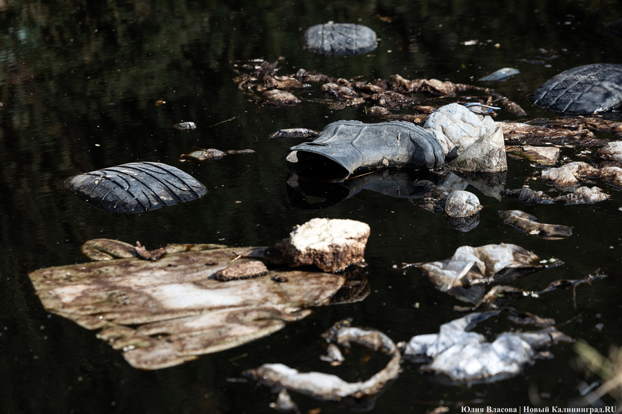 «Стихией управлять не научились»: как глава Минприроды РФ понюхал воздух в Круглово (фото)