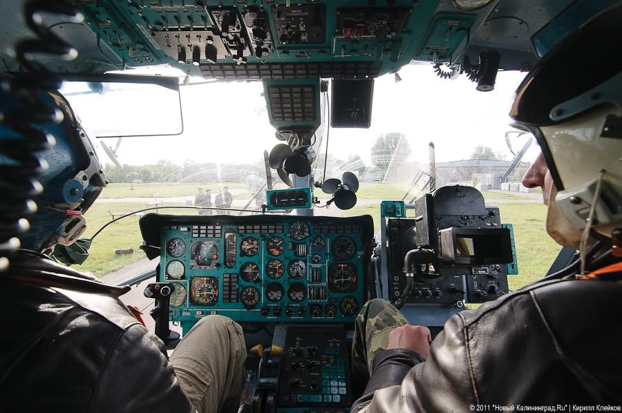 "Прилетит вдруг волшебник": фоторепортаж "Нового Калининграда.Ru"