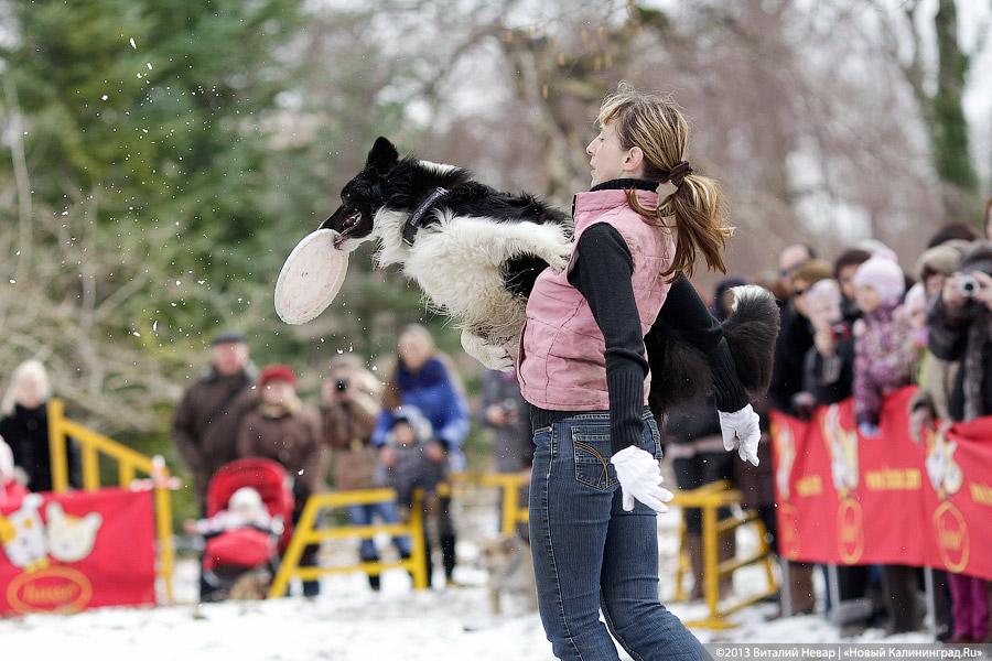 «Праздник для собак»: фоторепортаж из Ботанического сада