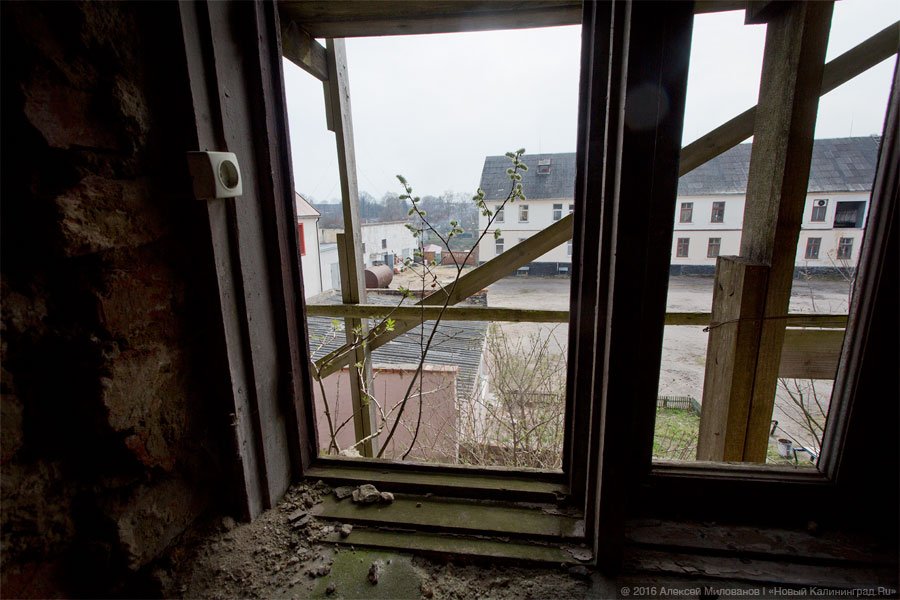 Новая надежда: дом Наполеона в Правдинске получил шанс на восстановление