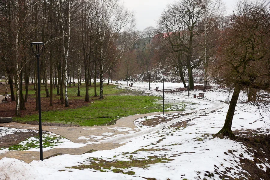 Высокие шансы на +10°C: прогноз погоды в Калининградской области на неделю