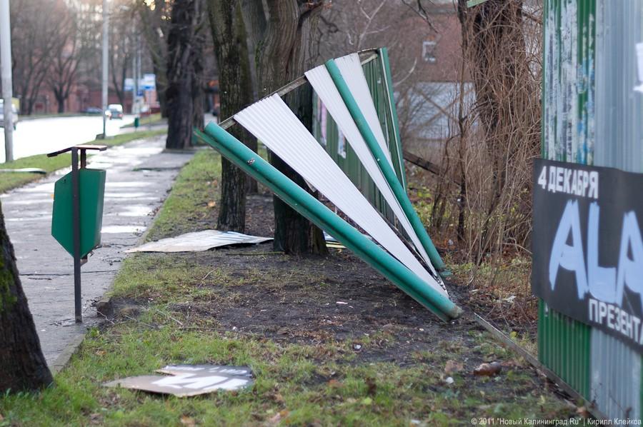 «А поутру они проснулись»: фоторепортаж «Нового Калининграда.Ru»
