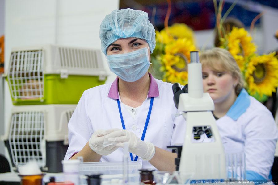 Жизнь как главный проект: выставка «PRO Ярмарка образования» в Калининграде