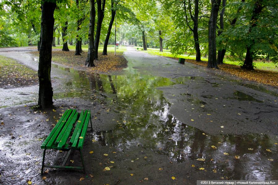 Куда уехал цирк: прогулка по Южному парку