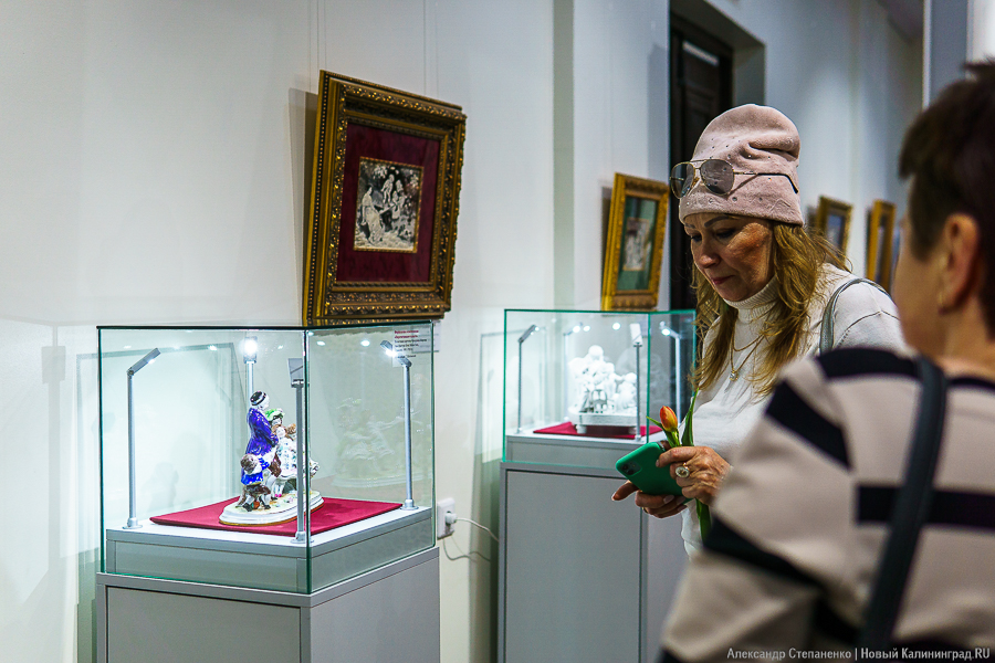 «С французским шармом»: в Калининграде открылась выставка шелковых картин (фото)