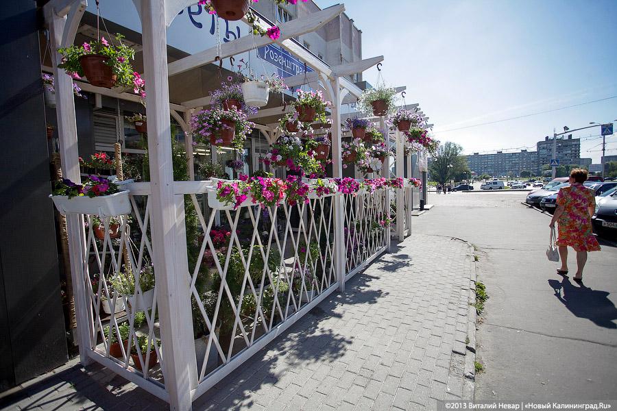 Фото из архива «Нового Калининграда.Ru»