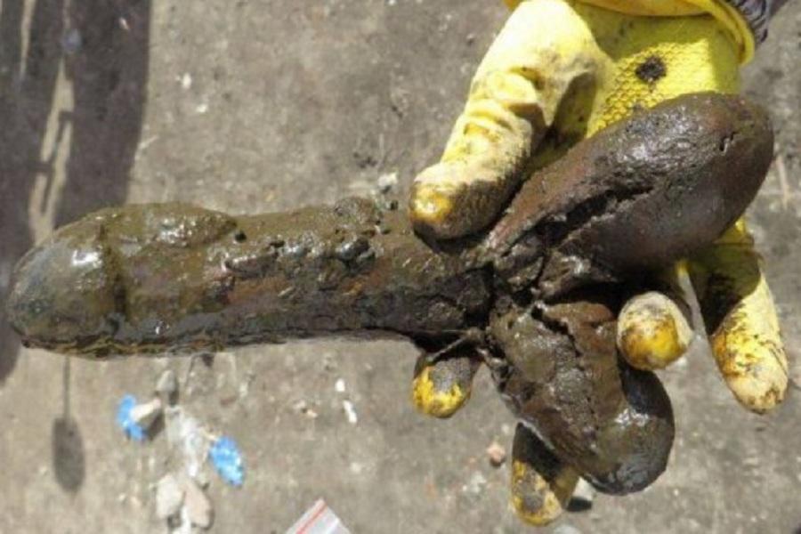 Польские археологи нашли трехсотлетнюю секс-игрушку (фото, 18+)