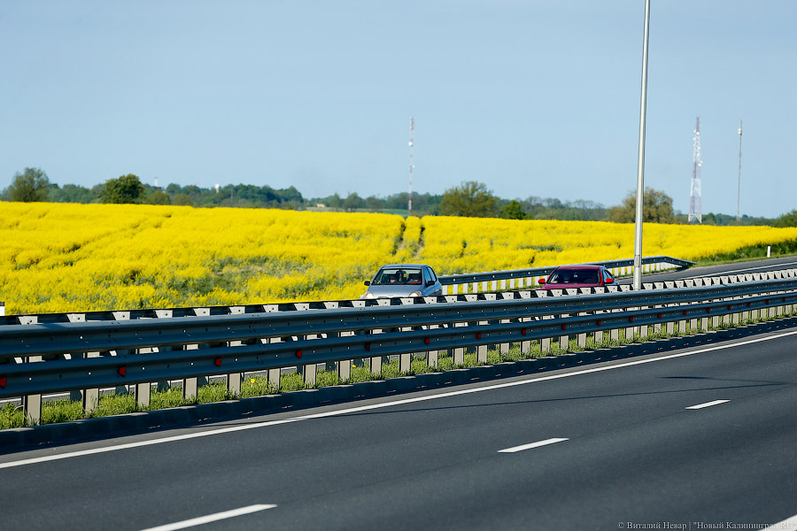 Минтранс: на средства от повышения акцизов могут претендовать не только Крым и Калининград