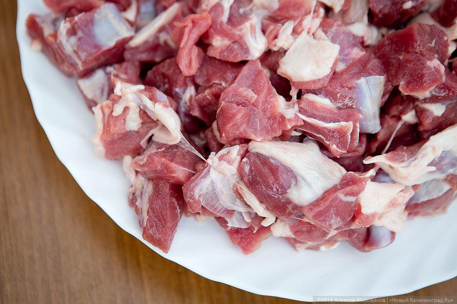 Пловщик Сергей Колесов: «Жена Путина ела плов из моих рук»