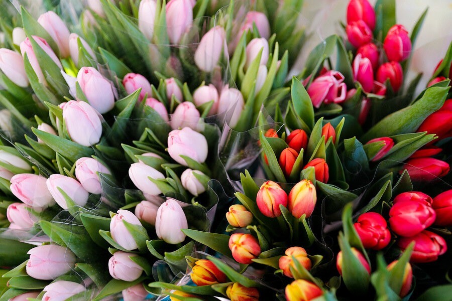 Мэрия опубликовала список мест, где будут легально торговать цветами к 8 Марта