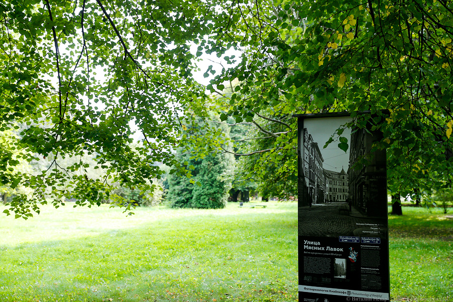 Прогулки по Кнайпхофу: о чём рассказывают новые стенды на острове Канта